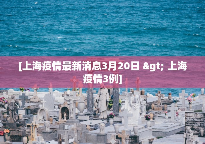 3分钟学会“炸金花外卦神器视频	”必胜开挂神器