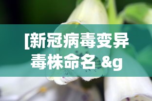 3分钟教程“微信上微乐麻将怎样免费开挂”分享用挂教程