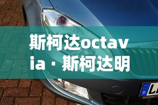 【盘点十款】“嘟嘟十三张官方免费挂	”开挂辅助脚本+详细开挂