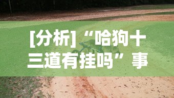 [分析]“哈狗十三道有挂吗”事实上确实有挂