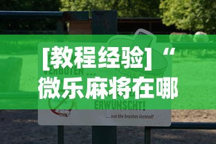 [教程经验]“微乐麻将在哪里买挂”辅助透视教程