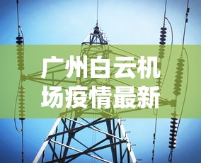 【今日头条】“随意玩拼三张透视视频”-揭秘开挂教程分享