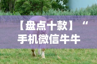 【盘点十款】“手机微信牛牛真的可以控制吗	”(曝光透视必备猫腻)