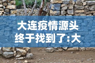 专家分析“好运大菠萝比鸡有挂吗”详细分享装挂