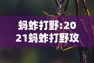 必胜技巧全攻略“微信家乡大贰怎么拿好牌”事实上真的有挂