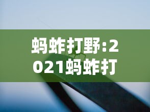 实操教程“众娱十三水怎么抓好牌”(必胜开挂神器)