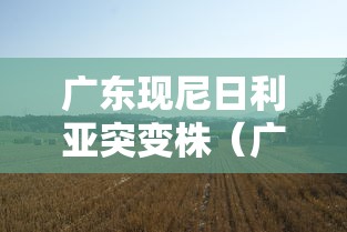 一分钟看懂“微乐惯蛋万能开挂器”其实确实有挂