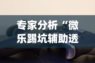 专家分析“微乐踢坑辅助透视软件下载？_游戏_玩家_工具