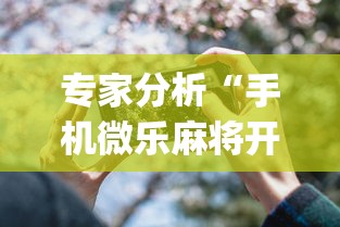专家分析“手机微乐麻将开挂视频怎么弄”(详细透视教程)-知乎