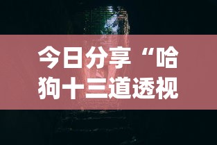 今日分享“哈狗十三道透视(透视)”开挂(透视)辅助教程