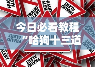 今日必看教程“哈狗十三道怎么能赢”事实上真的有挂