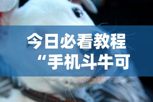 今日必看教程“手机斗牛可以作弊吗”其实确实有挂