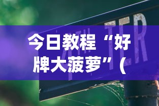 今日教程“好牌大菠萝”(透视挂)辅助透视教程