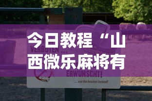 今日教程“山西微乐麻将有没有挂”(透视)开挂详细教程