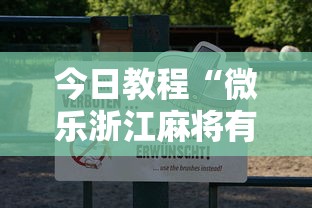 今日教程“微乐浙江麻将有挂吗”真可以装挂