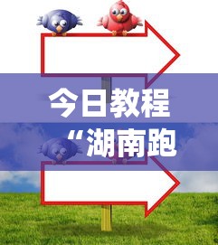 今日教程“湖南跑得快技巧全解”(透视)其实确实有挂