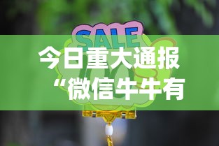 今日重大通报“微信牛牛有什么规律吗”(必备工具)辅助教学