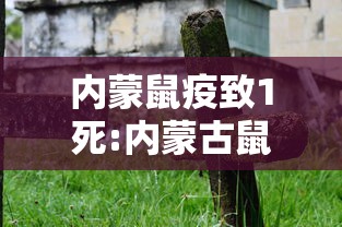 分享实测辅助“决胜数独麻将怎么赢”确实果然有挂