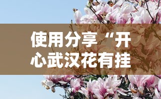 使用分享“开心武汉花有挂吗”掌握辅助功能必胜规则