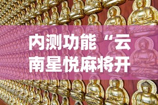 内测功能“云南星悦麻将开挂神器	”(原来确实是有挂)