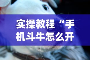 实操教程“手机斗牛怎么开挂免费下载”(太坑了果然有挂)