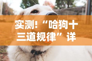 实测!“哈狗十三道规律”详细分享装挂