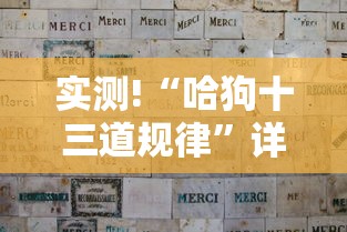 实测!“哈狗十三道规律”详细分享装挂