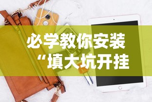 必学教你安装“填大坑开挂辅助软件”开挂科技辅助神器手机